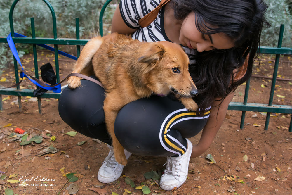 מתנדבת בעמותה מחזיקה כלב לאימוץ