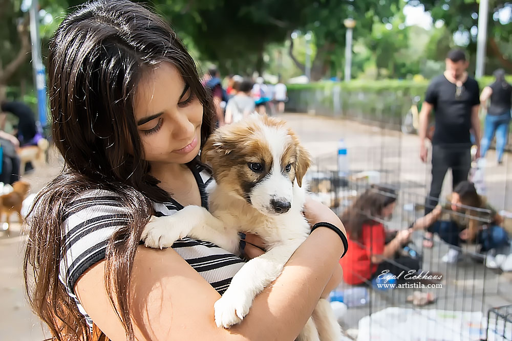 מתנדבת בעמותה מחזיקה גור כלבים לאימוץ