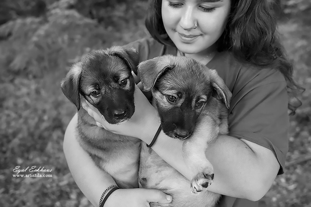 מתנדבת בעמותה מחזיקה גורי כלבים לאימוץ